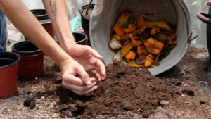 food waste composting
